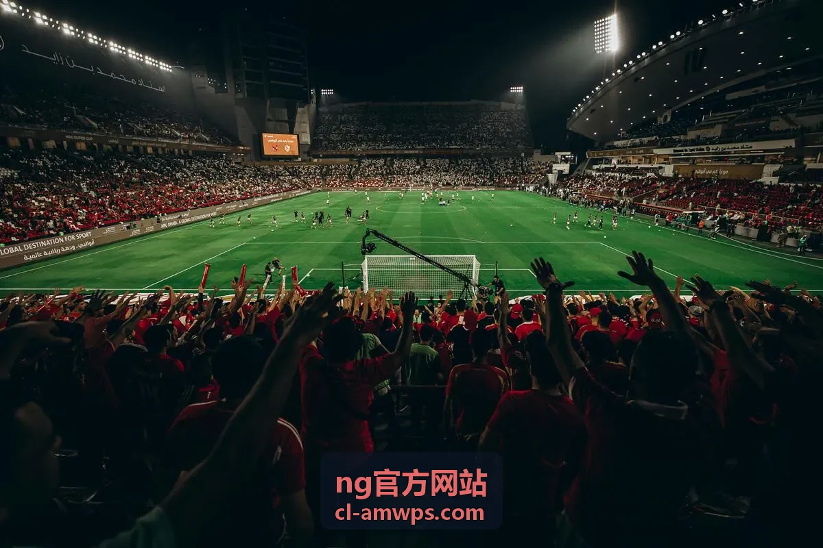 ng官方网站客户端主界面在桌面端运行时的画面
