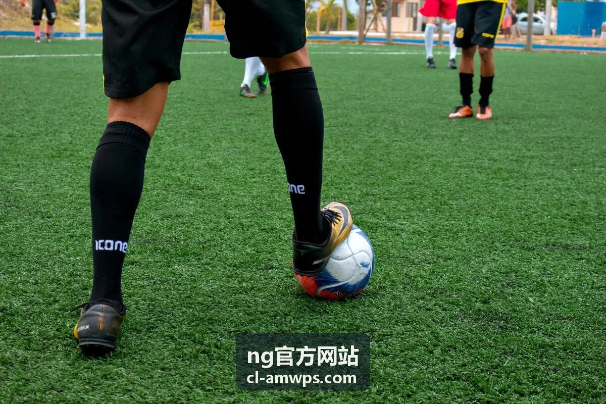 ng官方网站桌面端窗口布局与批量操作示意