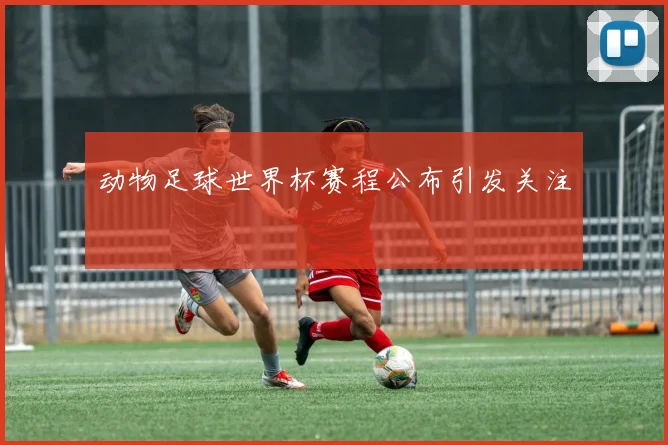 动物足球世界杯赛程公布引发关注