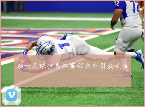 动物足球世界杯赛程公布引发关注